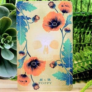 The Poppy Card