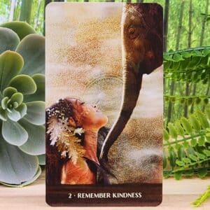 Wild Woman Oracle Cards by Angi Sullins - Remember Kindness