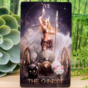 The Chariot Card