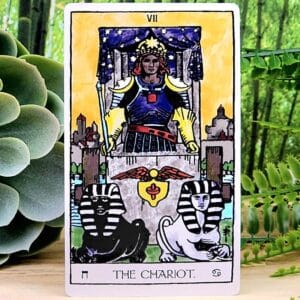 The Chariot Card