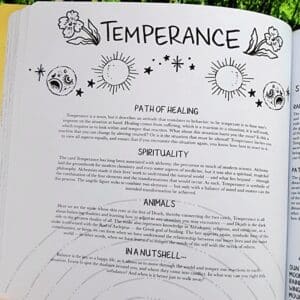 The Temperance Card Guide