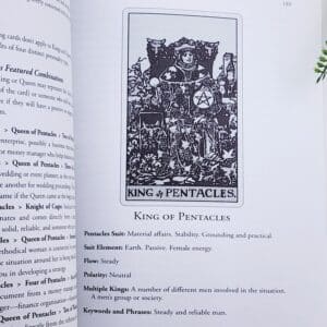 The King of Pentacles Page