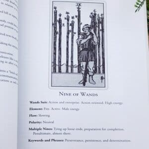 The Nine of Wands Page