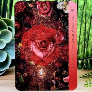 Healing Heart Oracle Cards by Inna Segal - Trusting Heart