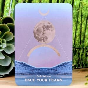 Moonology Messages Oracle Cards by Yasmin Boland - Cold Moon - Face your fears