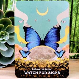 Follow the Moon - Watch for signs