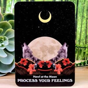 Howl at the Moon - Process your feelings