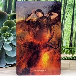 W.I.T.C.H Oracle Cards and Guidebook by Angi Sullins - The Phoenix