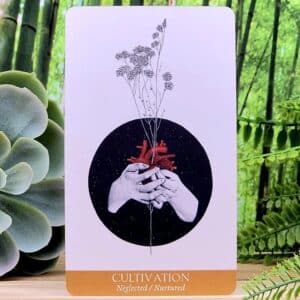 Cultivation