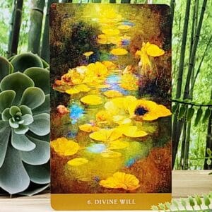 The Path of Light Oracle Cards Deluxe Edition by Anthony Salerno - Divine Will