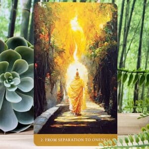 The Path of Light Oracle Cards Deluxe Edition by Anthony Salerno - From Separation to Oneness