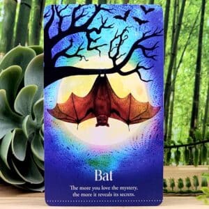 Wild Dreams Animal Oracle Cards by Kelly Sullivan Walden - Bat