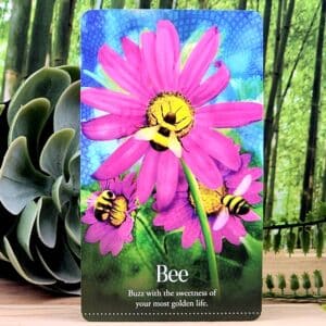 Wild Dreams Animal Oracle Cards by Kelly Sullivan Walden - Bee