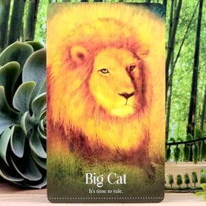 Wild Dreams Animal Oracle Cards by Kelly Sullivan Walden - Big Cat