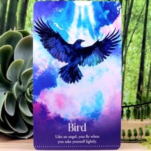 Wild Dreams Animal Oracle Cards by Kelly Sullivan Walden - Bird