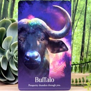 Wild Dreams Animal Oracle Cards by Kelly Sullivan Walden - Buffalo