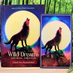 Wild Dreams Animal Oracle Cards by Kelly Sullivan Walden - Guidebook and back of cards