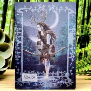 Celtic Goddesses, Witches, and Queens Oracle Cards by Danu Forest - Abnoba