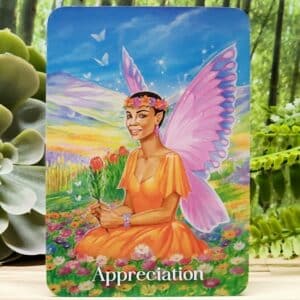 Manifesting with the Fairies Oracle Cards by Karen Kay - Appreciation