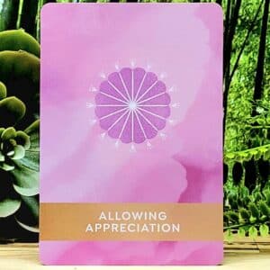 The Healing Mantra Oracle Deck by Matt Kahn - Allowing appreciation