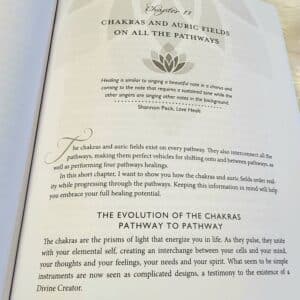 Advanced Chakra Healing by Cyndi Dale - Chakras and Auric Fields on all the Pathways