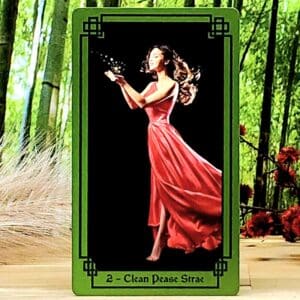 Celtic Magic Oracle Cards by Marie Bruce - Clean Pease Strae