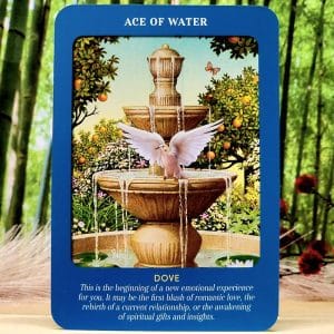 Animal Guides Tarot Cards by Radleigh Valentine - Ace of Water - Dove