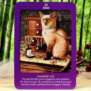 Animal Guides Tarot Cards by Radleigh Valentine - Ego - Siamese Cat