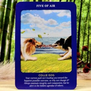 Animal Guides Tarot Cards by Radleigh Valentine - Five of Air - Collie Dog