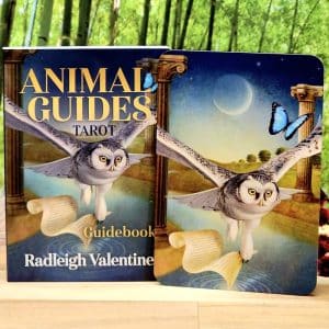 Animal Guides Tarot Cards by Radleigh Valentine - Guidebook and back of cards