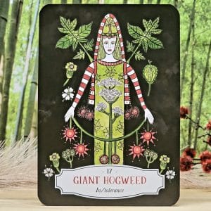 Deadly Apothecary Oracle Cards by Priestess Moon - Giant Hogweed