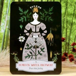 Deadly Apothecary Oracle Cards by Priestess Moon - Hemlock Water - Dropwort