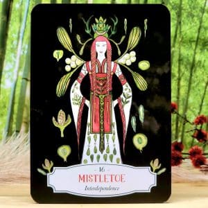 Deadly Apothecary Oracle Cards by Priestess Moon - Mistletoe