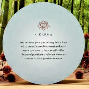 Buddhism Oracle Cards and Guidebook by Lama Tendar & Ani Dechen - karma