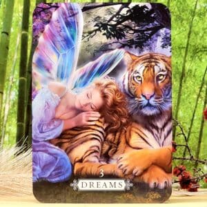 Heal Yourself Oracle Cards by Inna Segal - Dreams