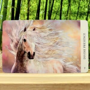 Horse Wisdom Oracle Cards By Kathy Pike - Divine Presence