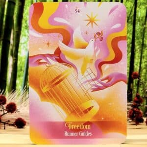 Ask Your Guides Oracle Cards by Sonia Choquette - Freedom