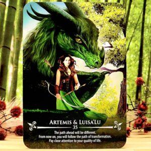 The Dragon Riders Oracle Deck by Christine Arana Fader - Artemis & Luisa'Lu