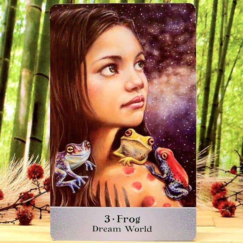 Totem Guardians Oracle Deck -Frog