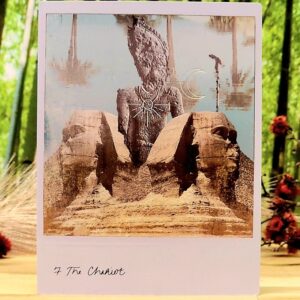 Wild Lands Tarot Cards by Leah Shoman - The Chariot