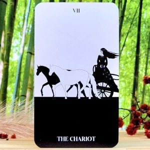 Black Violet Tarot Cards by Heidi Phelps - The Chariot