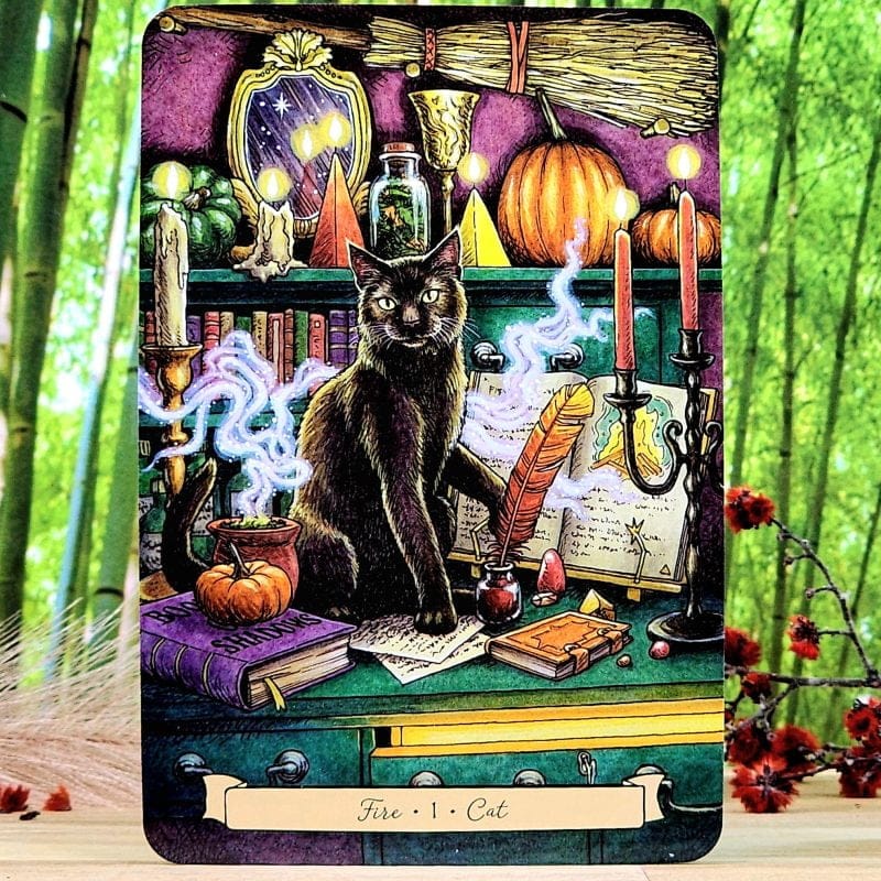 Everyday Witch's Familiars Oracle, Deborah Blake - Cat