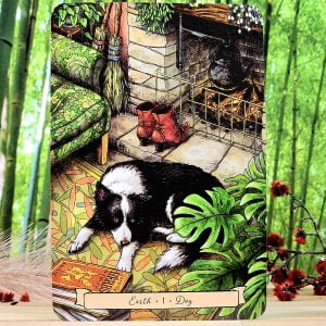 Everyday Witch's Familiars Oracle, Deborah Blake - Dog