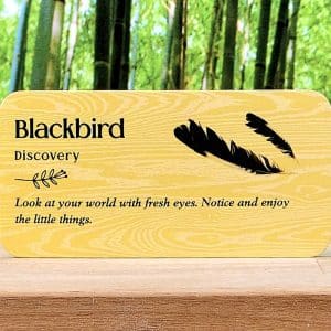 Forest Friends Inspiration Cards by Tijana Lukovic - Blackbird meaning