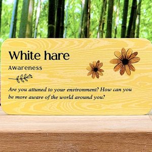 White Hare meaning