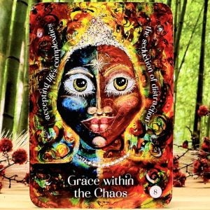 Guides of the Hidden Realms by Colette Baron-Reid - Grace within the chaos