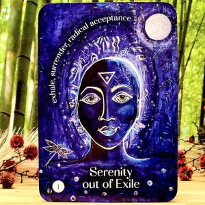 Guides of the Hidden Realms by Colette Baron-Reid - Serenity out of exile