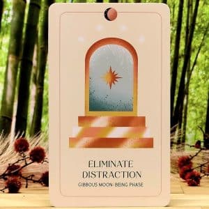 Lunar Abundance Reflection Cards by Ezzie Spencer PhD - Eliminate distraction