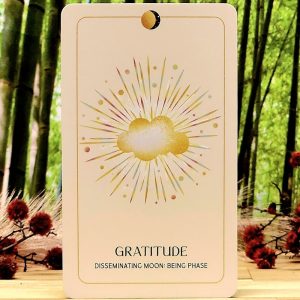 Lunar Abundance Reflection Cards by Ezzie Spencer PhD - Gratitude