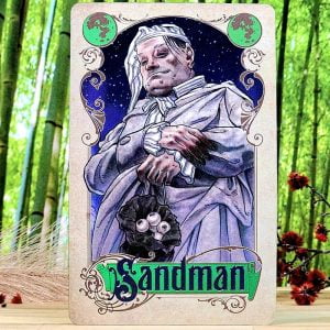 Mother Mort's Carnival of Souls Oracle Deck by Matt Hughes - Sandman